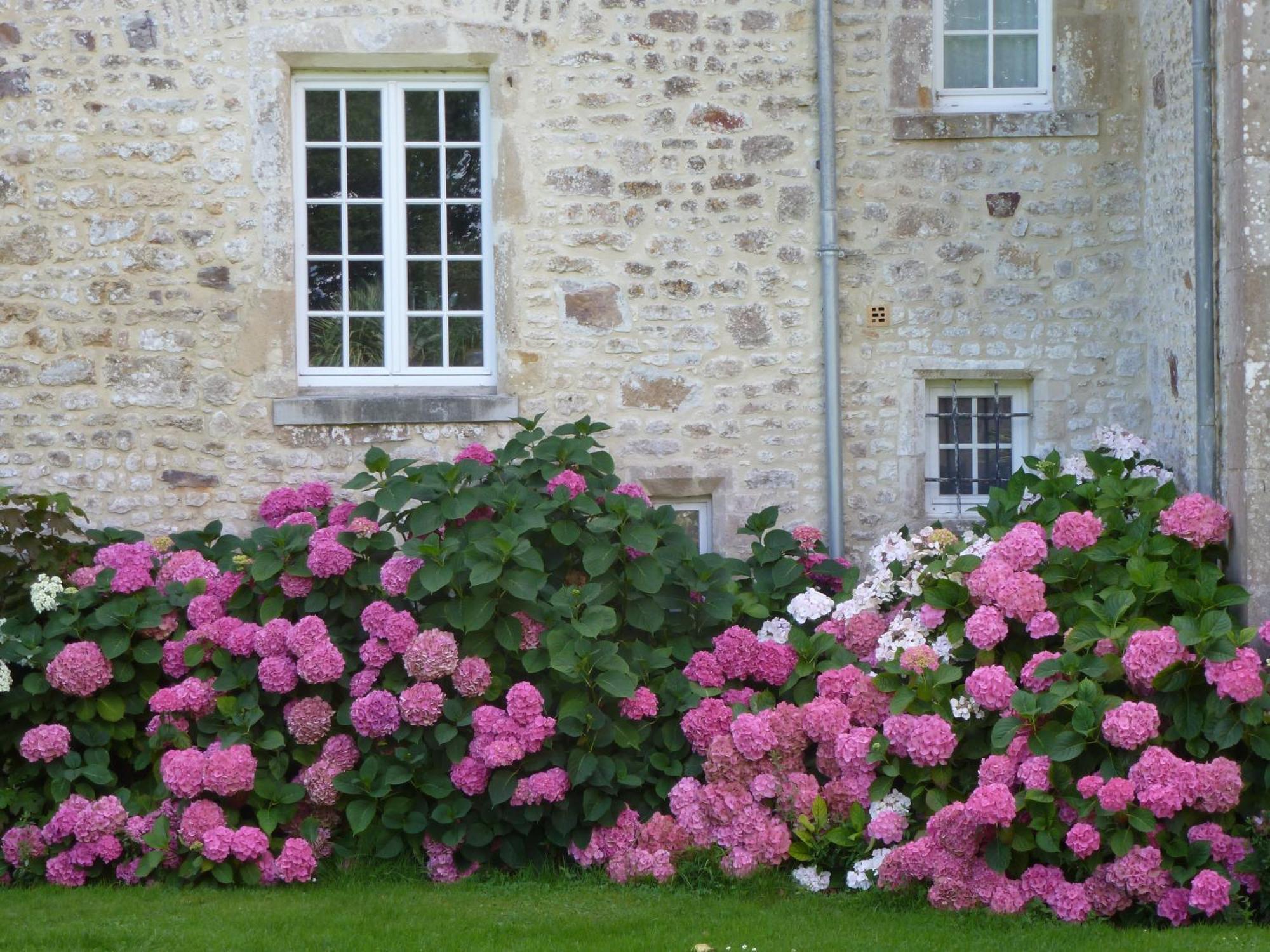 Bed and Breakfast Manoir De Savigny Valognes Zewnętrze zdjęcie