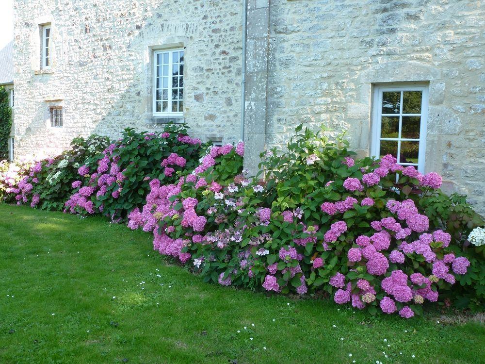 Bed and Breakfast Manoir De Savigny Valognes Zewnętrze zdjęcie