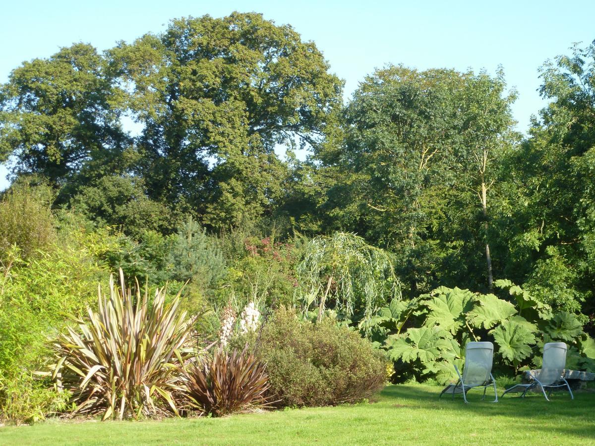 Bed and Breakfast Manoir De Savigny Valognes Zewnętrze zdjęcie